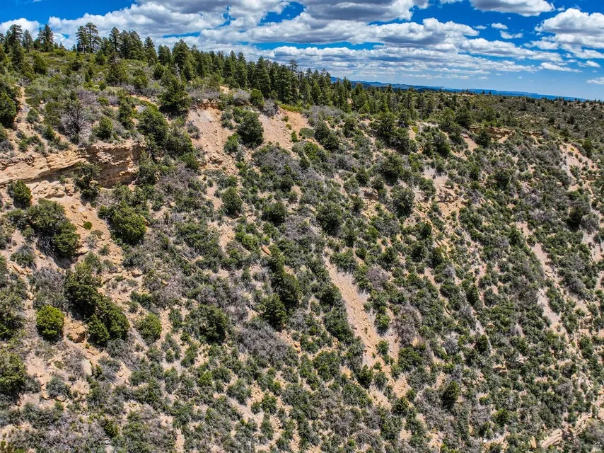 Expansive natural landscape featuring varied topography with gentle slopes and elevated formations