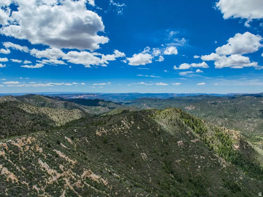 Expansive mountainous terrain featuring diverse evergreen and scrub vegetation