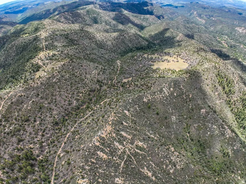 Expansive mountain landscape featuring varied terrain with evergreen trees and scattered clearings