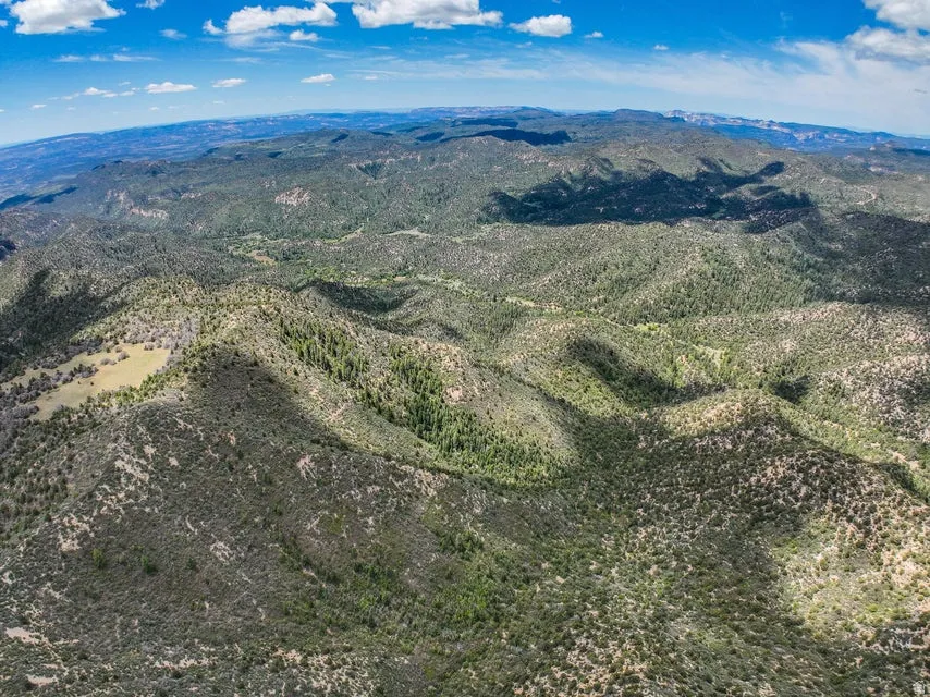 Expansive mountainous terrain with varied topography, including densely forested areas and open clearings