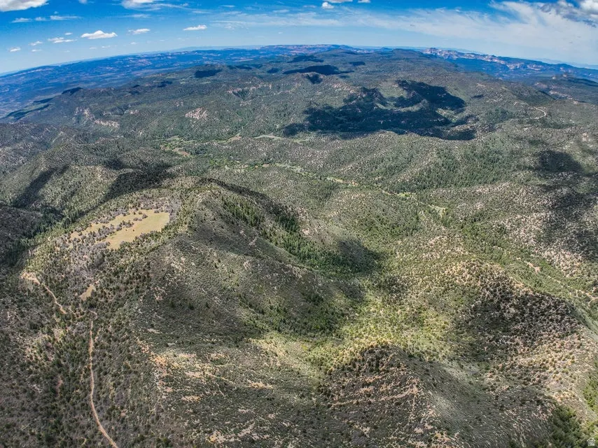 Expansive natural landscape featuring rolling hills, varied terrain, a large open clearing, and a distant horizon