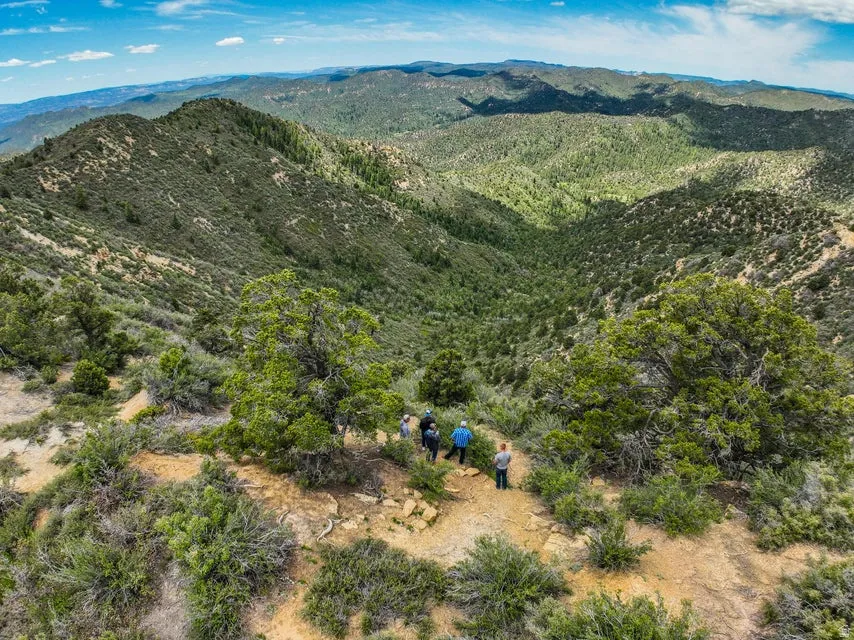 Expansive natural landscape featuring rolling hills and abundant green foliage