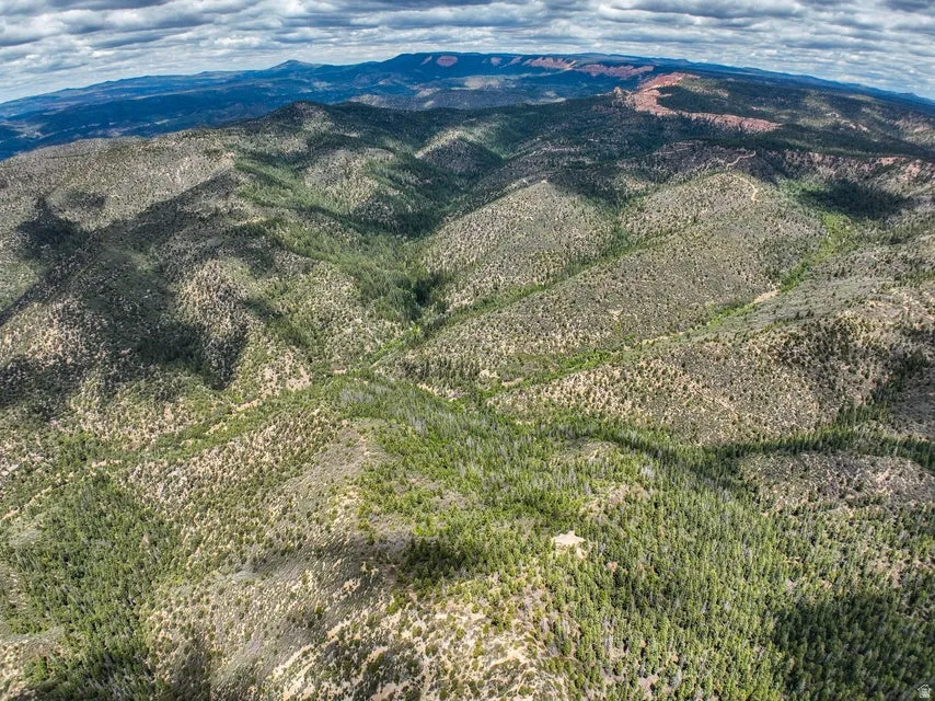 Expansive acreage featuring rolling hills and abundant natural vegetation
