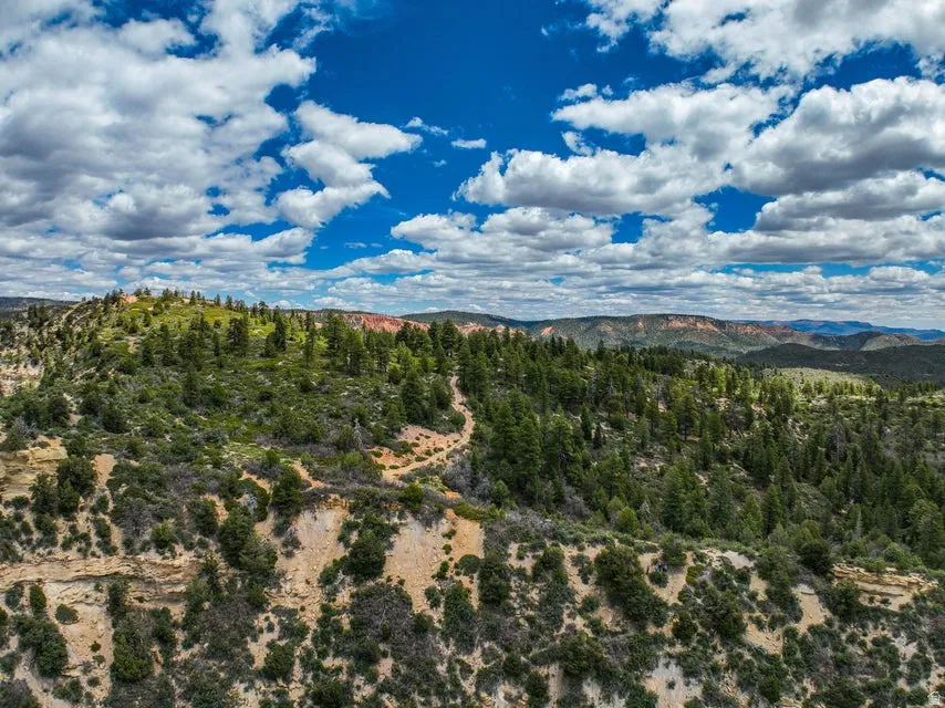 Expansive natural landscape featuring rolling hills and abundant evergreen trees