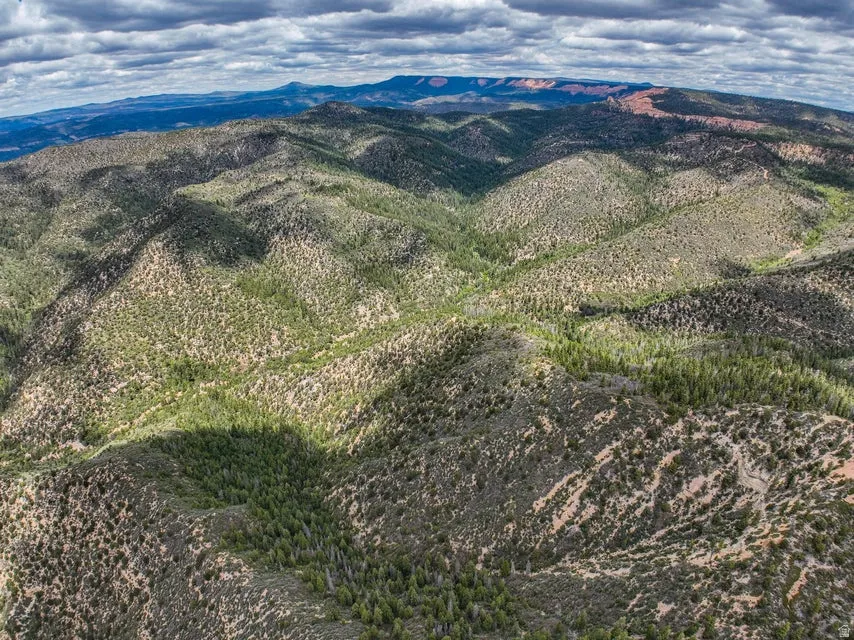 Expansive mountain landscape featuring varied terrain and natural vegetation, including evergreen trees and scrubland