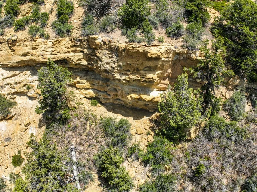 Natural rock cliff featuring layered sandstone formations and scattered evergreen shrubs