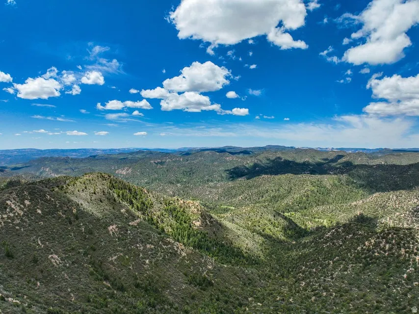 Expansive mountain landscape featuring varied tree cover and a clear blue sky with white clouds