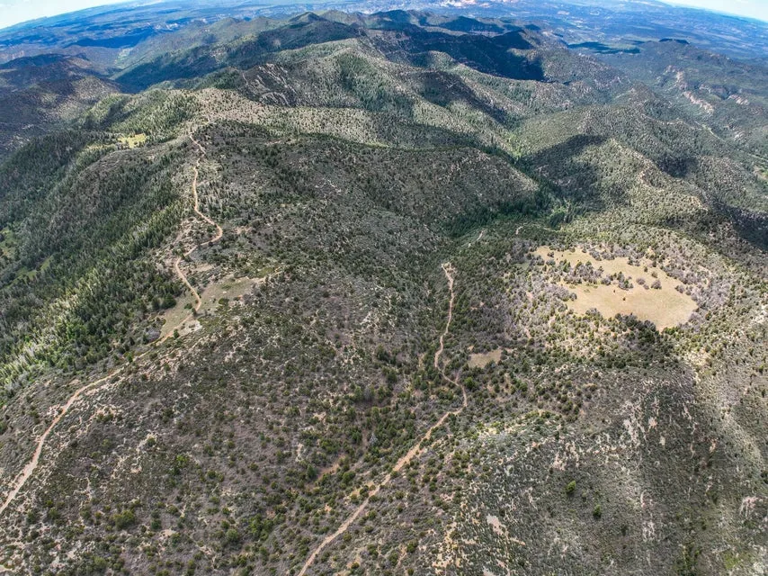 Expansive mountainous terrain featuring diverse vegetation, numerous winding trails, and multiple clearings