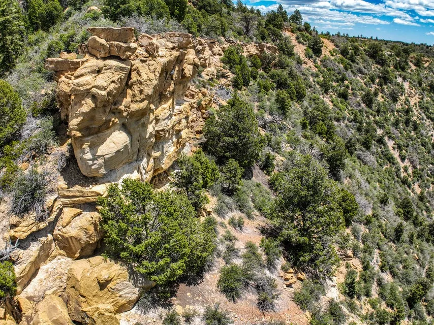 Natural rock formations and diverse evergreen vegetation on a sloped terrain