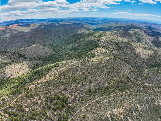 Expansive mountain terrain featuring diverse vegetation and winding dirt paths