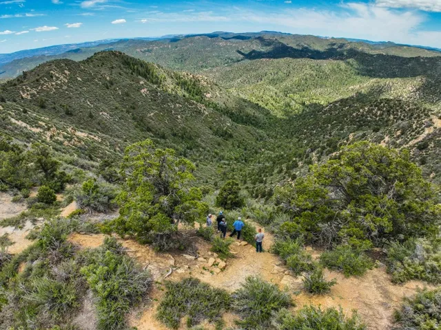 Expansive natural landscape featuring rolling hills and abundant green foliage