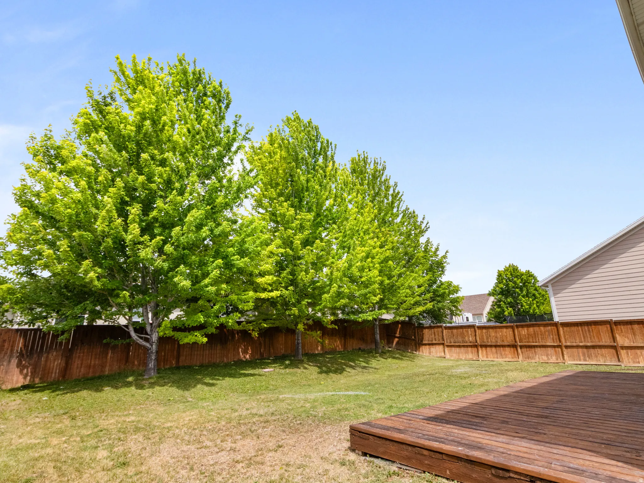 Expansive backyard featuring a large wood deck, mature trees, and a full privacy fence