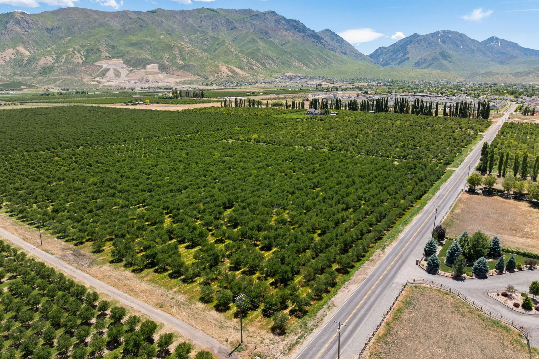 Expansive agricultural property featuring multiple cultivated fields and mature cherry trees