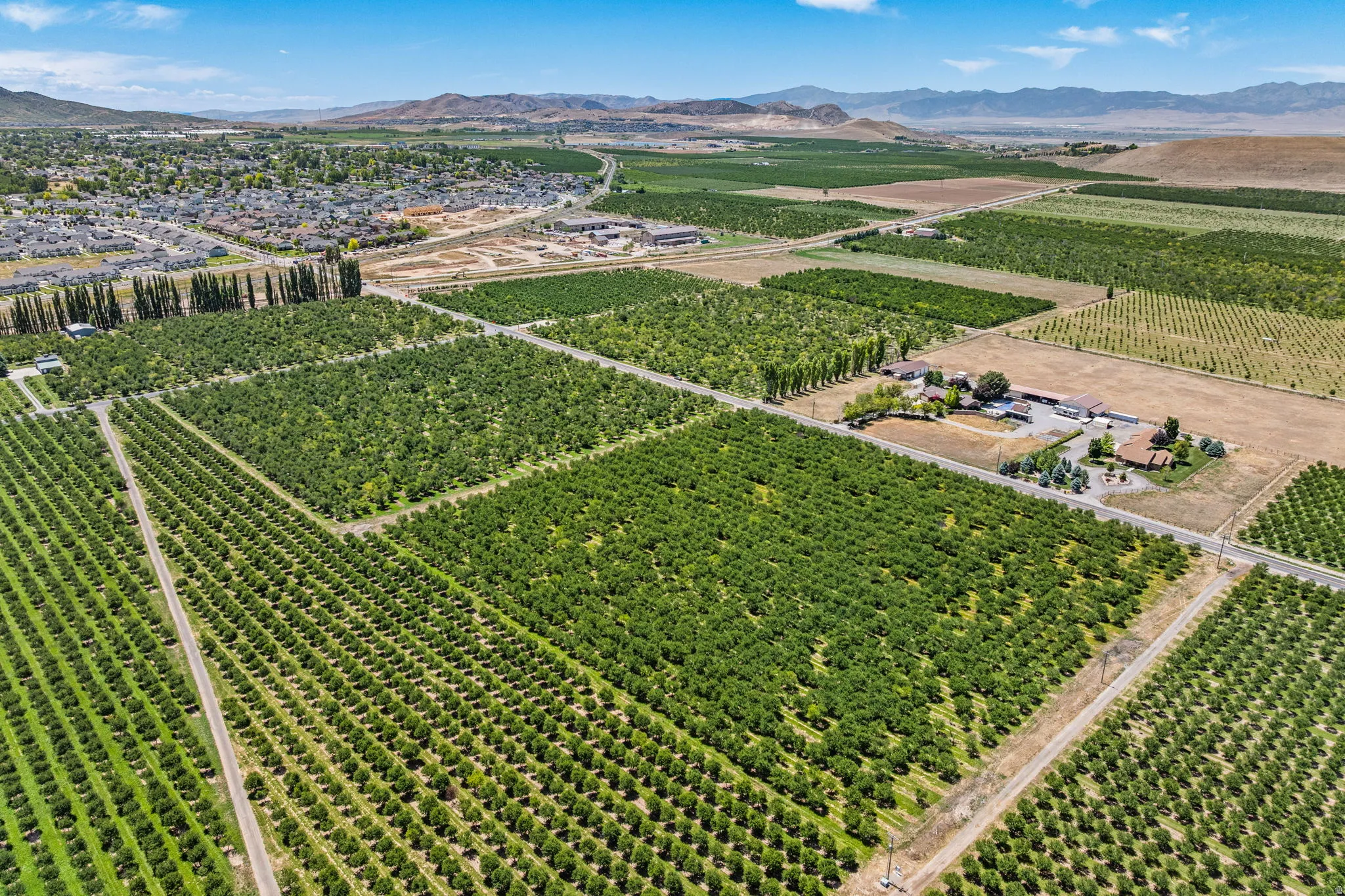 Expansive agricultural property featuring multiple cultivated fields and mature cherry trees