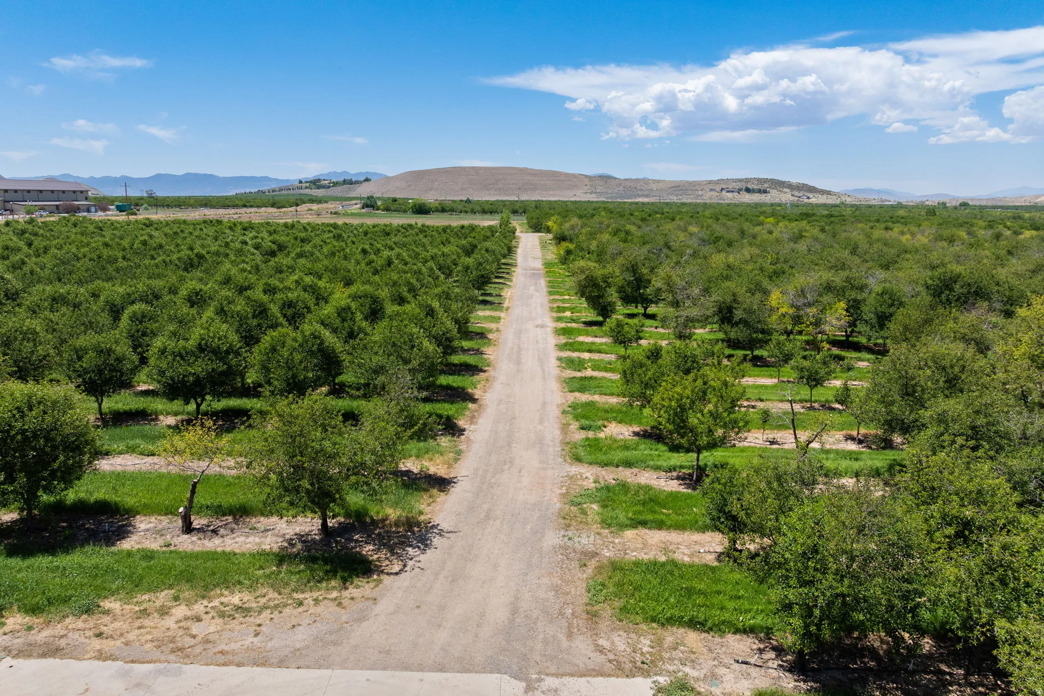 Expansive agricultural property featuring multiple cultivated fields and mature cherry trees