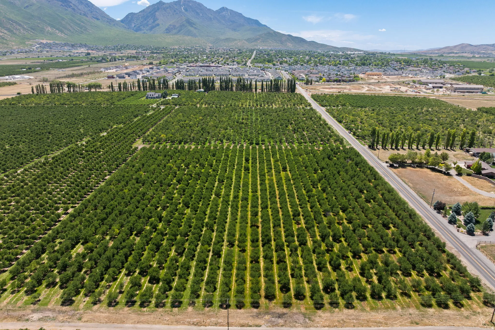 Expansive agricultural property featuring multiple cultivated fields and mature cherry trees