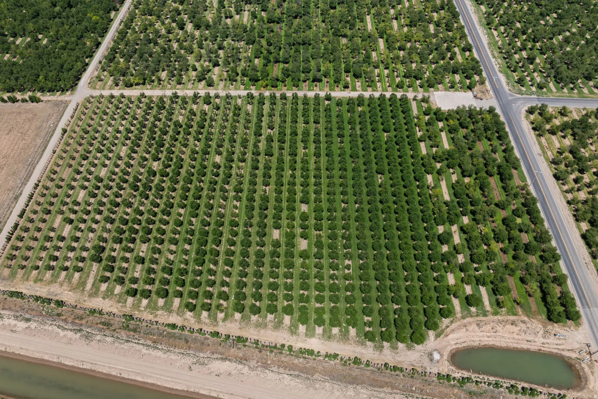 Expansive agricultural property featuring multiple cultivated fields and mature cherry trees
