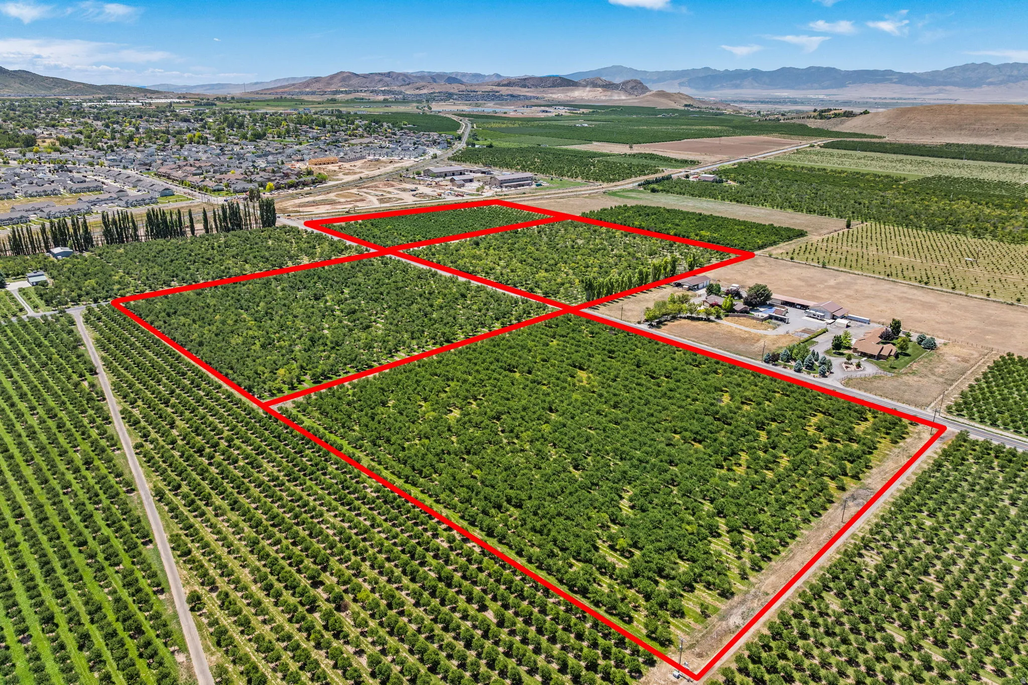 Expansive agricultural property featuring multiple cultivated fields and mature cherry trees