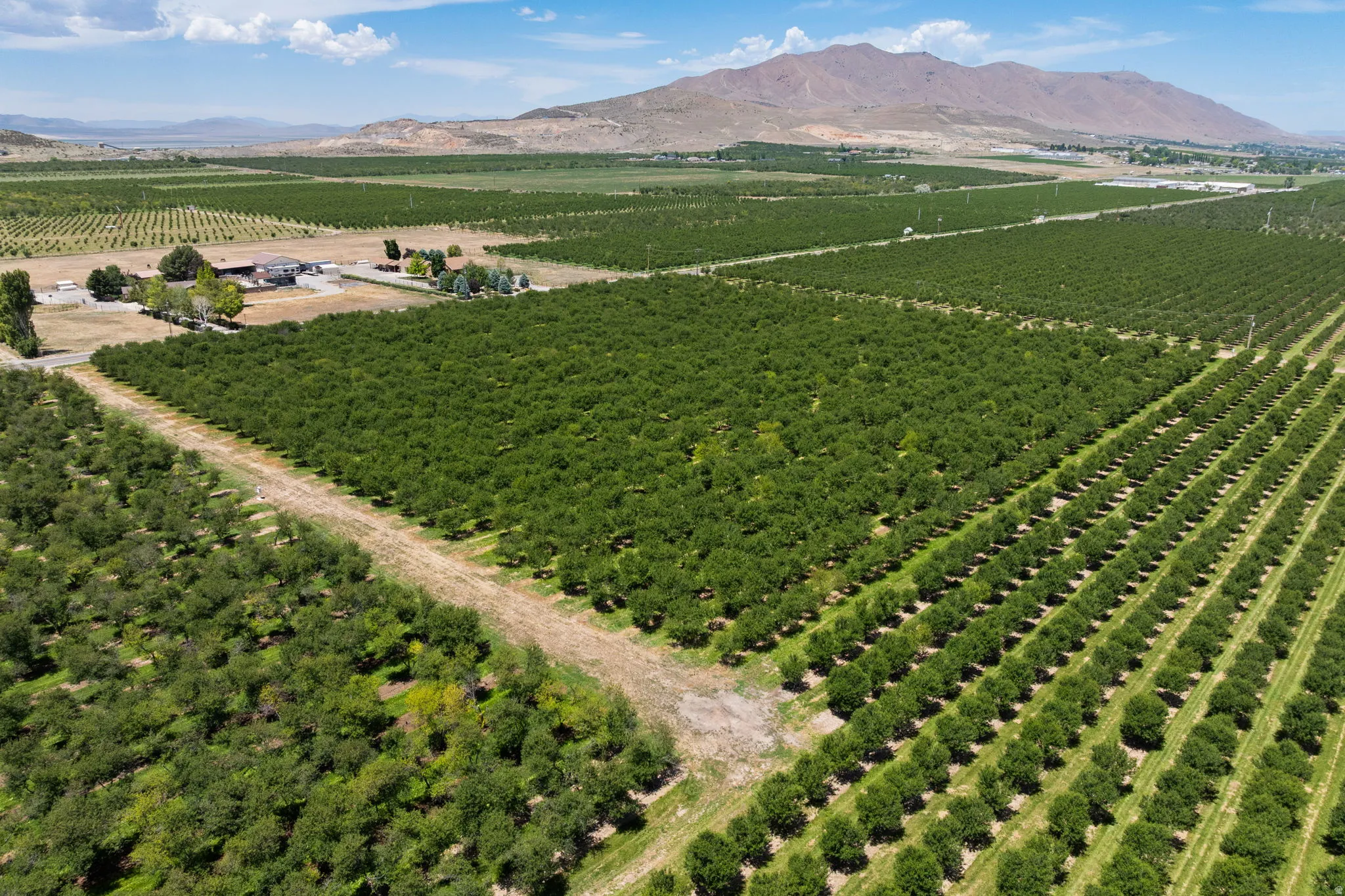 Expansive agricultural property featuring multiple cultivated fields and mature cherry trees