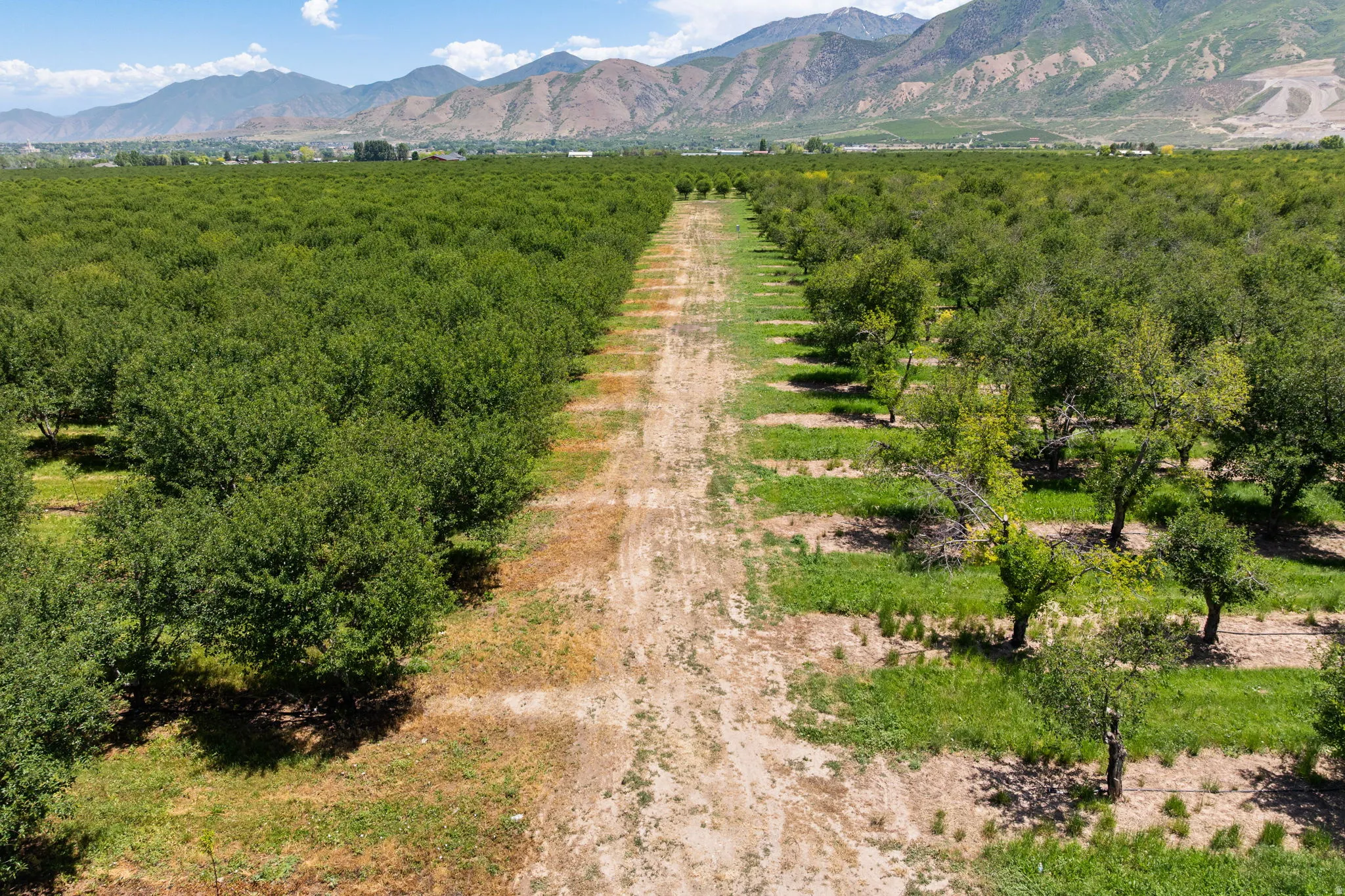 Expansive agricultural property featuring multiple cultivated fields and mature cherry trees