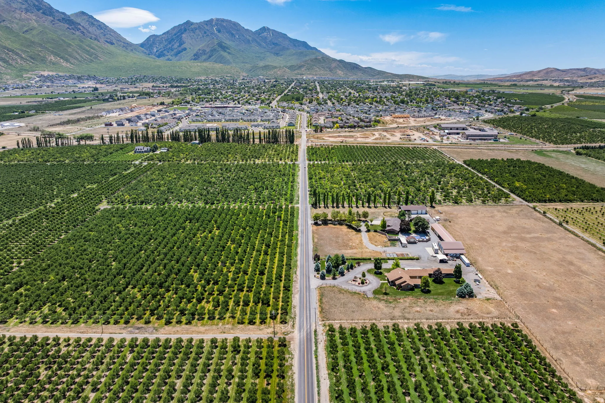 Expansive agricultural property featuring multiple cultivated fields and mature cherry trees