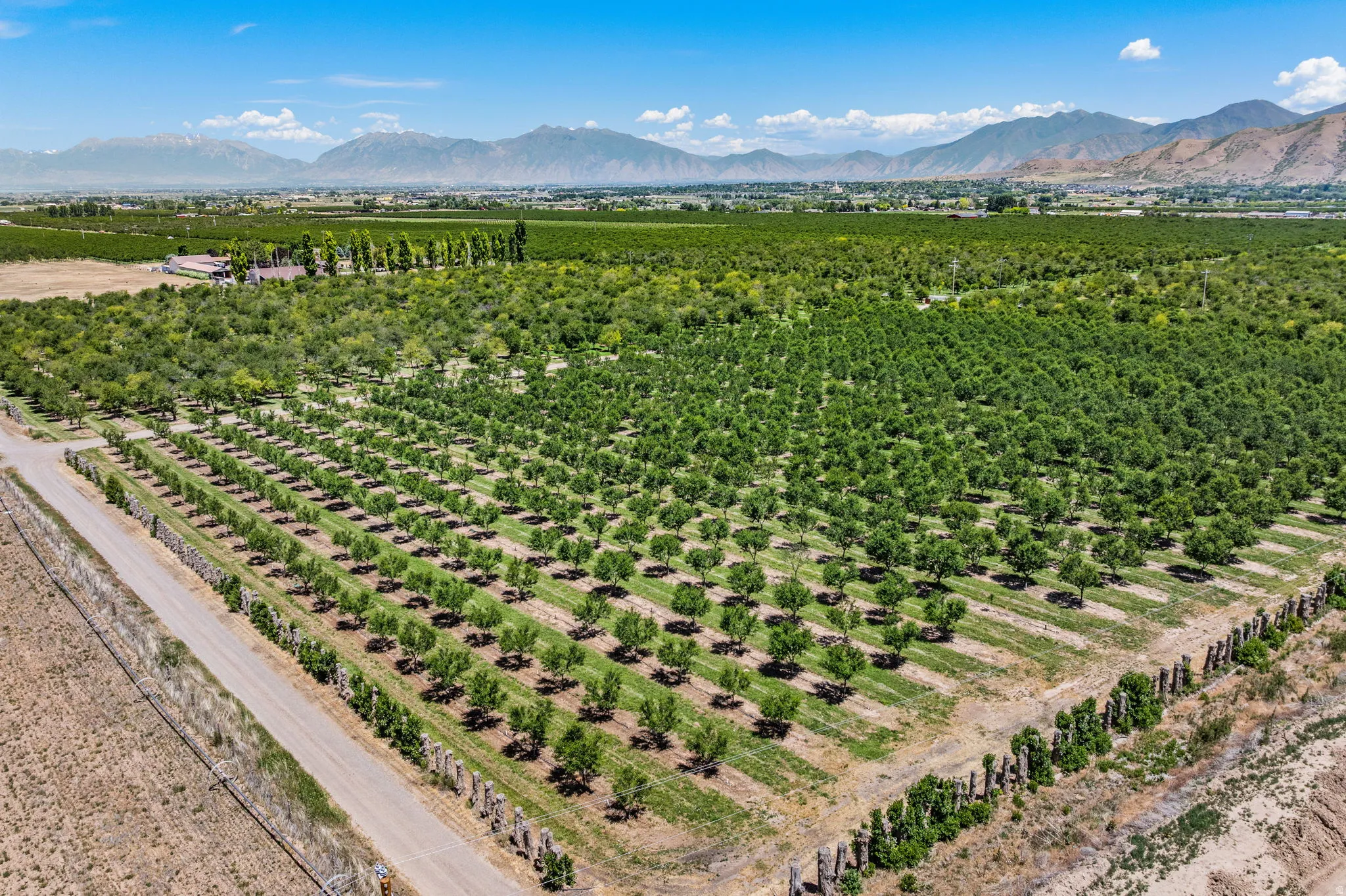 Expansive agricultural property featuring multiple cultivated fields and mature cherry trees