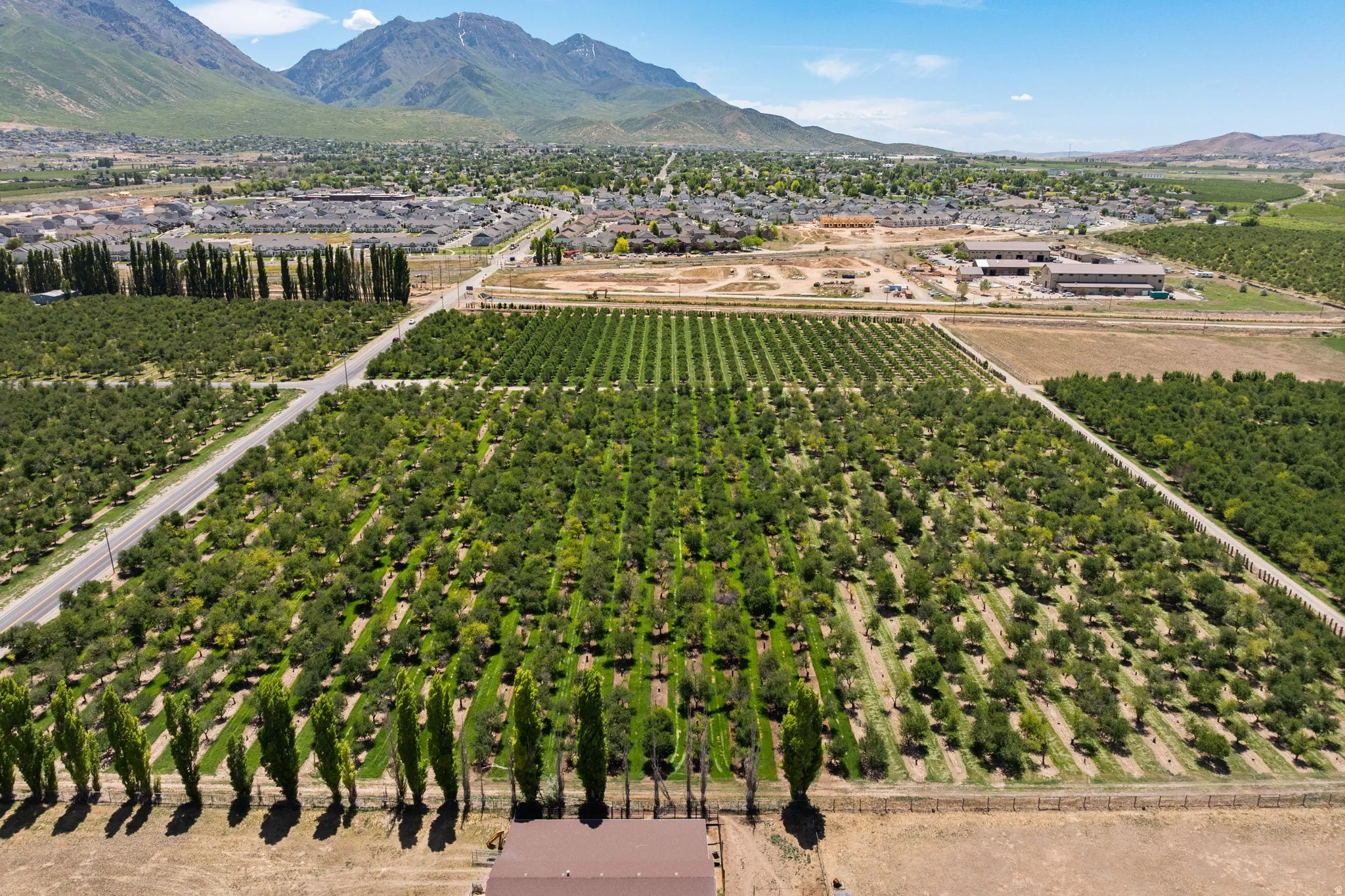 Expansive agricultural property featuring multiple cultivated fields and mature cherry trees