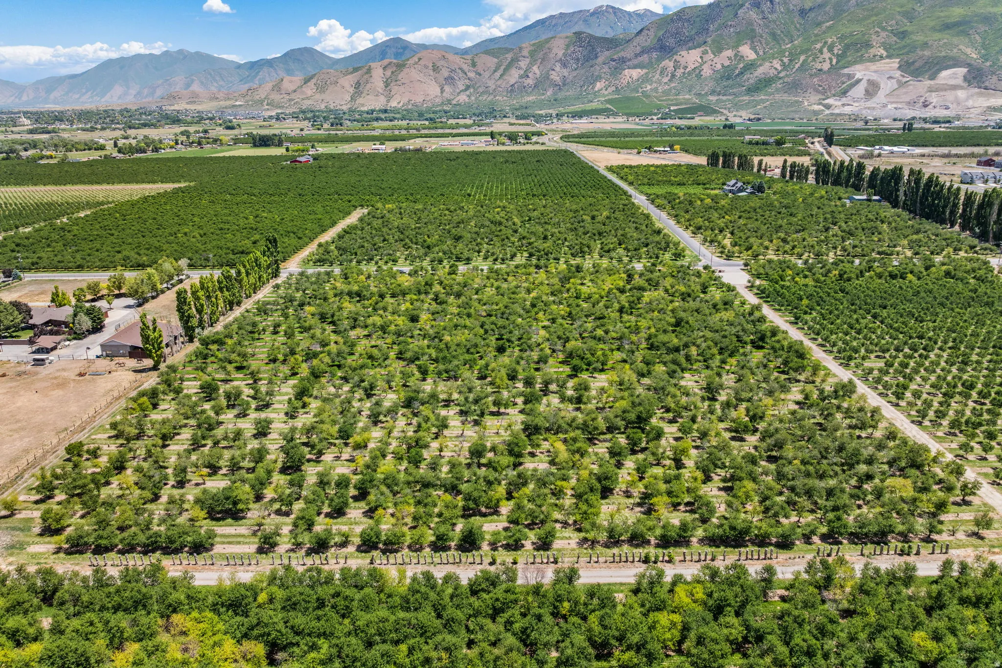 Expansive agricultural property featuring multiple cultivated fields and mature cherry trees