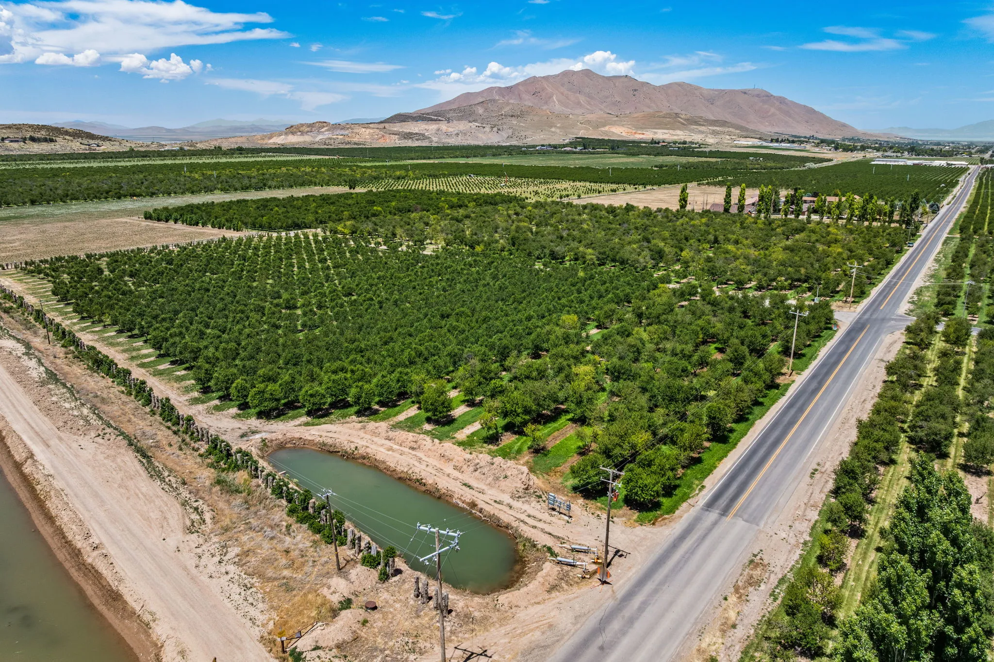 Expansive agricultural property featuring multiple cultivated fields and mature cherry trees