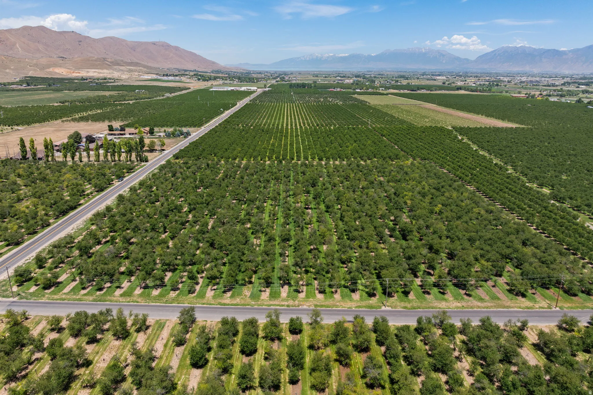 Expansive agricultural property featuring multiple cultivated fields and mature cherry trees