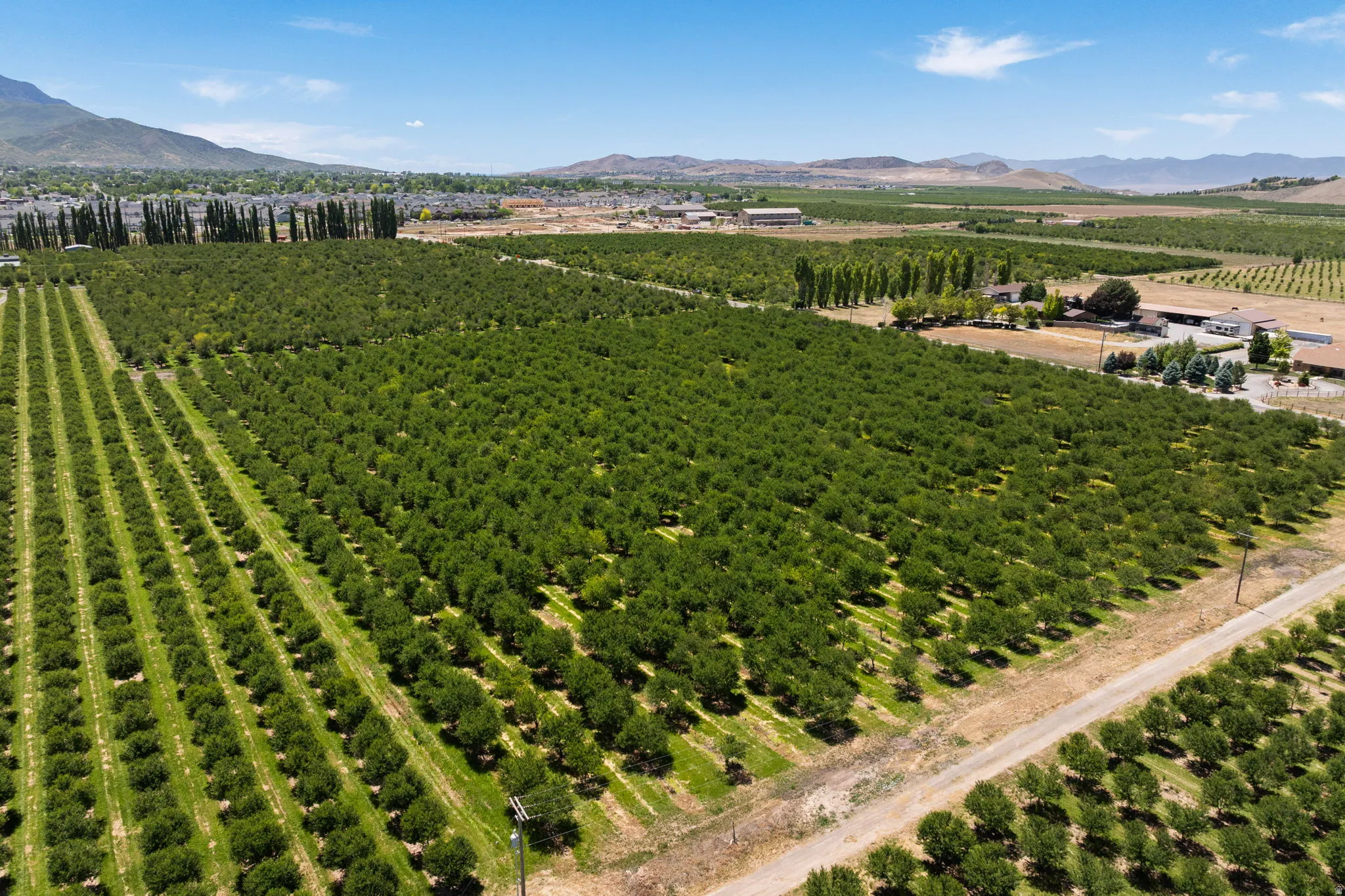 Expansive agricultural property featuring multiple cultivated fields and mature cherry trees