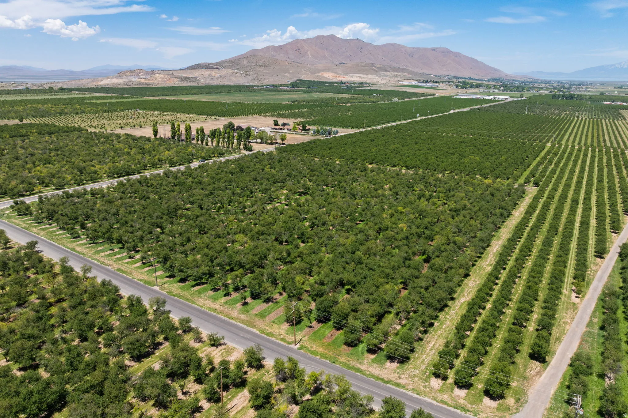 Expansive agricultural property featuring multiple cultivated fields and mature cherry trees