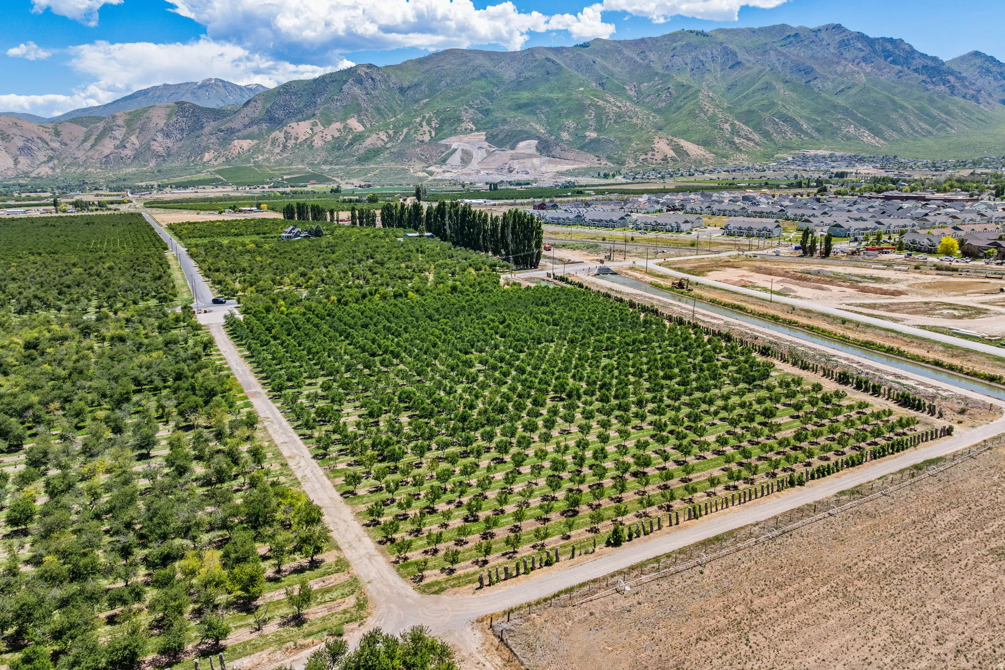 Expansive agricultural property featuring multiple cultivated fields and mature cherry trees
