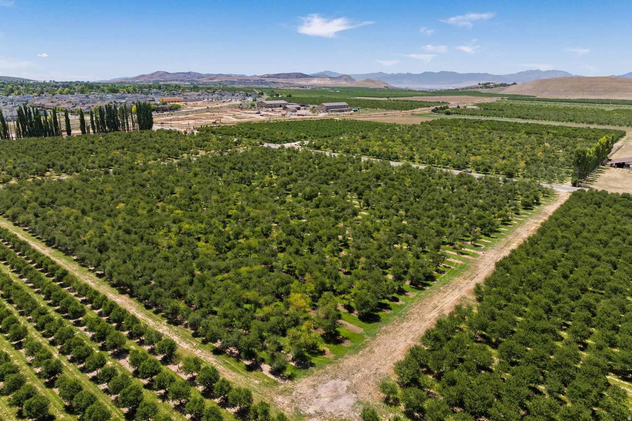 Expansive agricultural property featuring multiple cultivated fields and mature cherry trees