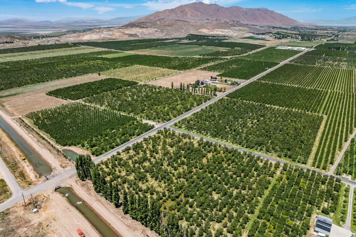 Expansive agricultural property featuring multiple cultivated fields and mature cherry trees