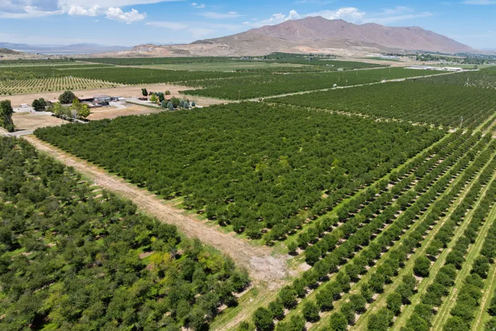 Expansive agricultural property featuring multiple cultivated fields and mature cherry trees