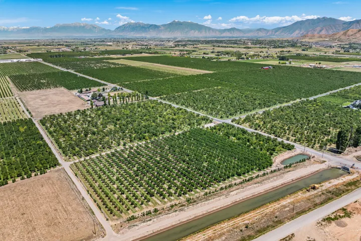 Expansive agricultural property featuring multiple cultivated fields and mature cherry trees