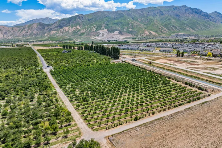 Expansive agricultural property featuring multiple cultivated fields and mature cherry trees