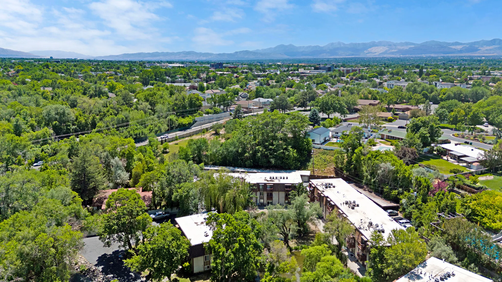 Expansive aerial perspective showcasing a verdant landscape with mature trees, scattered residential structures, and distant mountains