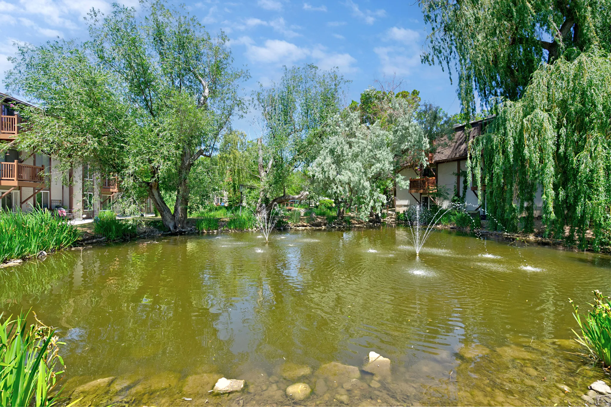 Central pond with multiple water features, surrounded by established trees and lush vegetation