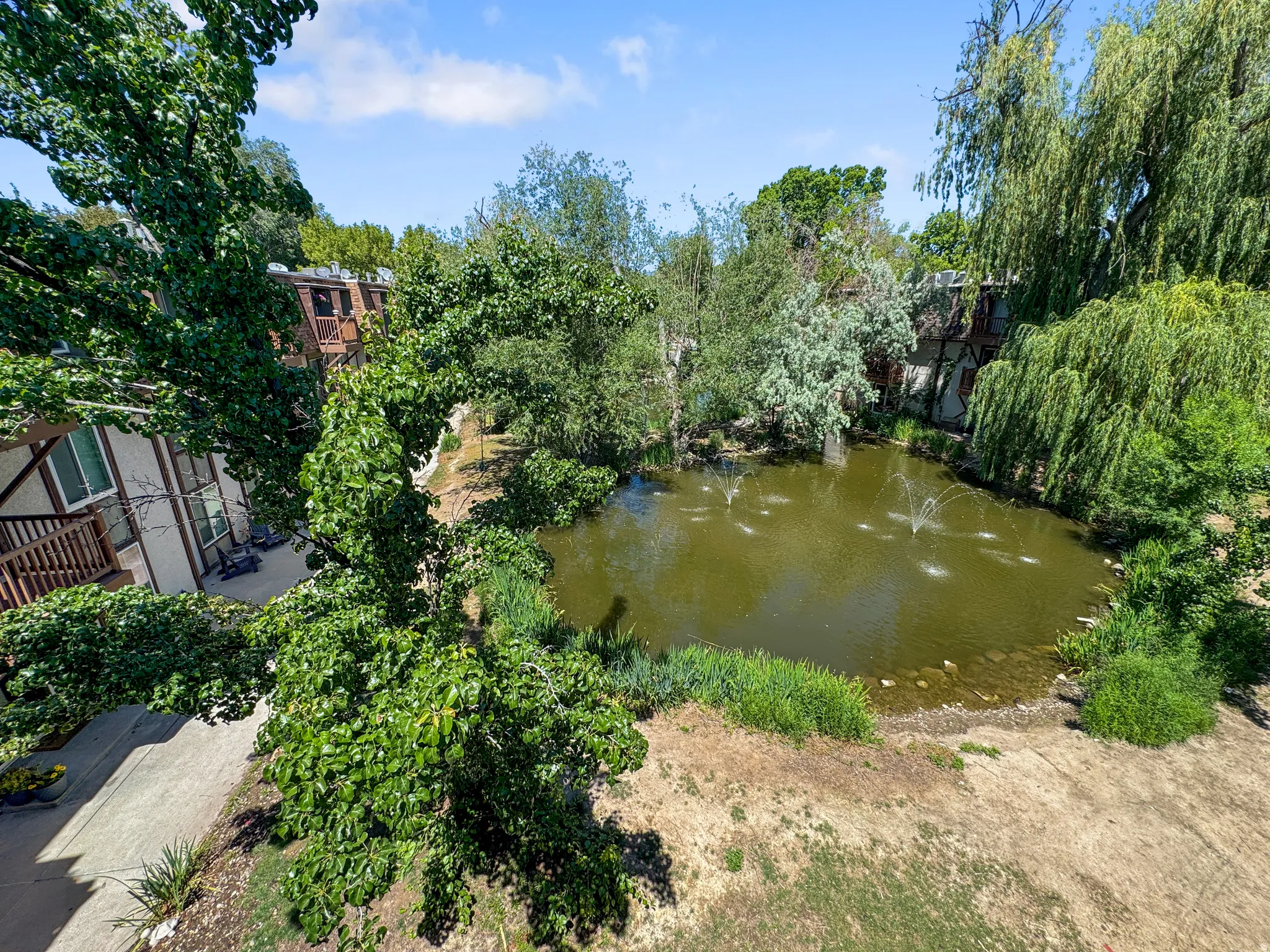 Water feature with multiple fountains, surrounded by lush mature trees and natural rock formations