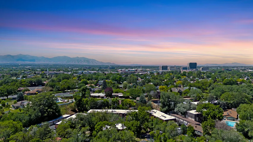 Expansive aerial cityscape featuring a dense canopy of mature trees, residential properties, distant mountain ranges, and commercial buildings