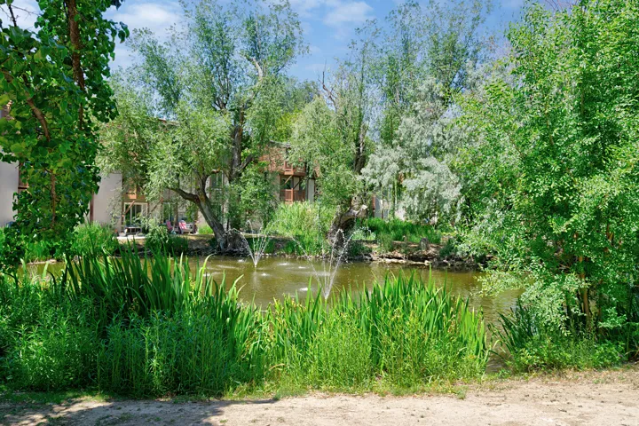 Water view