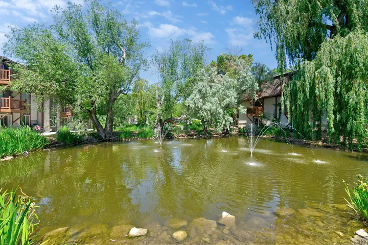 Central pond with multiple water features, surrounded by established trees and lush vegetation