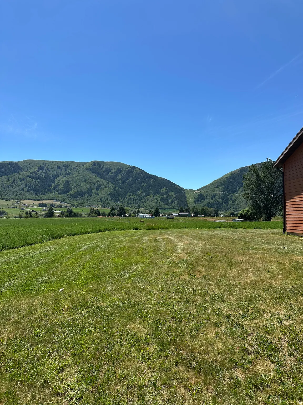 Expansive green lawn with a partial red siding structure
