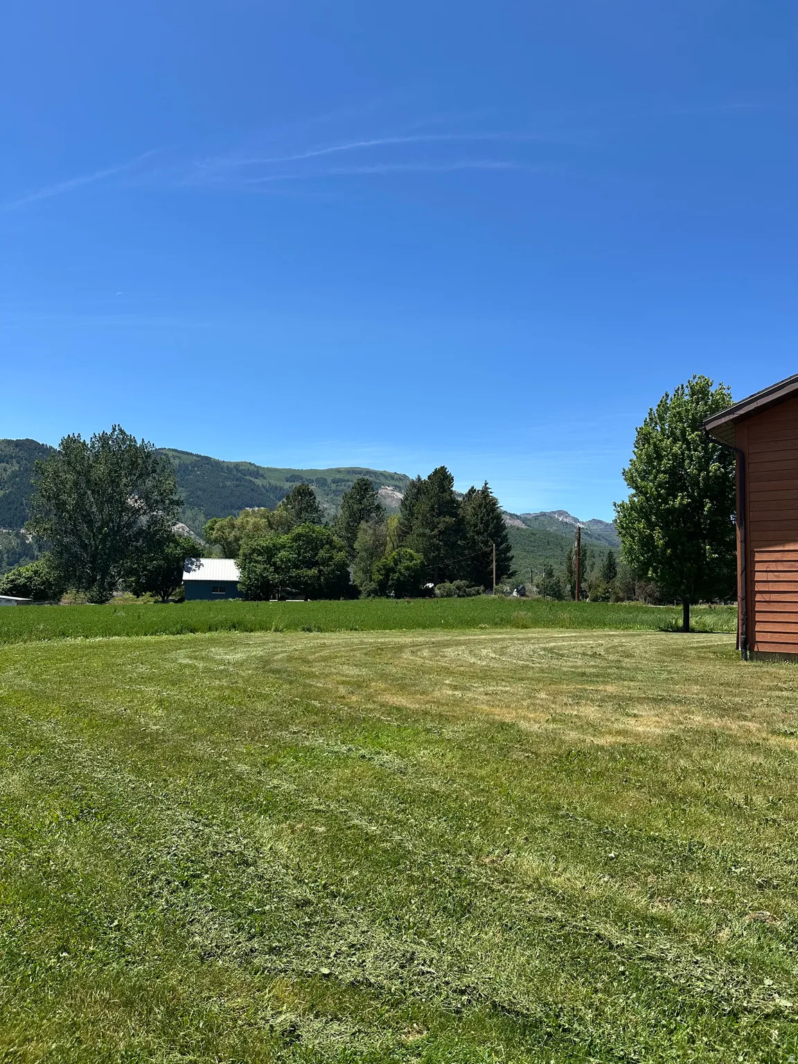 Expansive green lawn with mountain backdrop