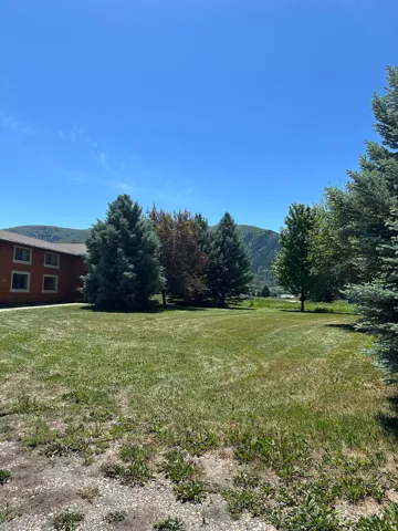 Expansive grassy area featuring mature evergreen trees and a distant mountain backdrop