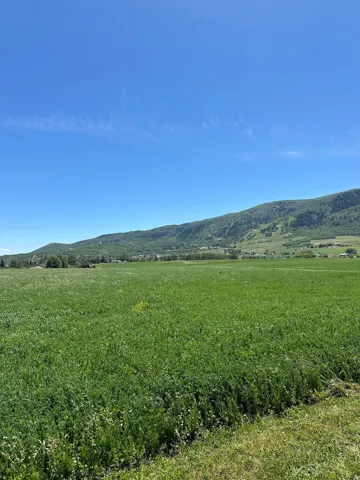 Expansive green field under a clear blue sky, featuring distant treed mountains and a far-off cluster of buildings