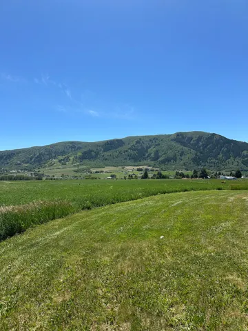 Expansive green landscape featuring a distant tree-covered mountain range under a clear blue sky