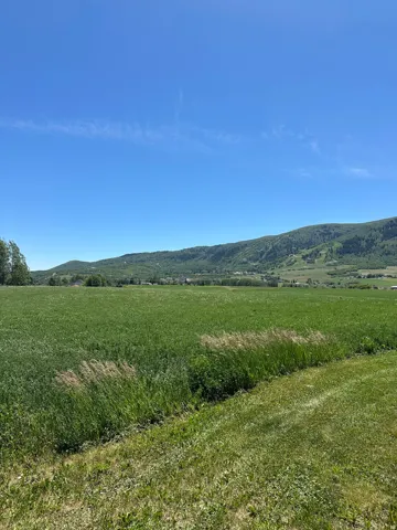 Expansive green fields extending towards distant tree-covered mountains under a clear blue sky